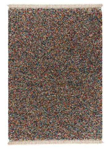 Atticgo Hochflor-Teppich YEBEL in mehrfarbig