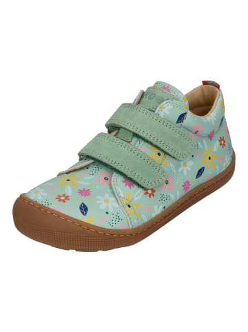 KOEL Sneaker Low DANNY PRINT in bunt