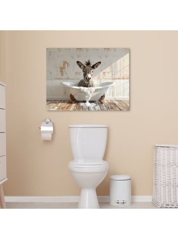 MuchoWow Poster mit Leiste Esel  (BxH)