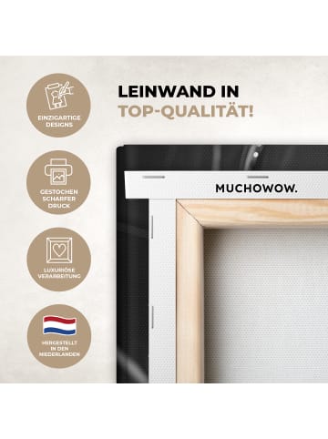 MuchoWow Leinwand bilder Toilettenpapier (BxH)