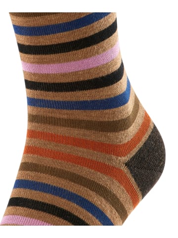 Falke Socken Tinted Stripe in Canvas
