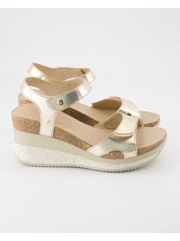 PANAMA JACK Sandalen in Gold