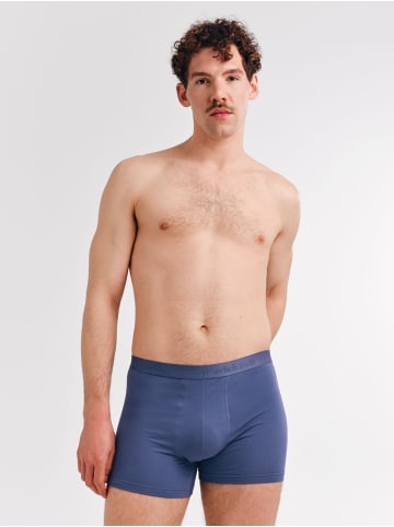 Erlich Textil  CASUAL COTTON PANTS IM 3er PACK in graublau