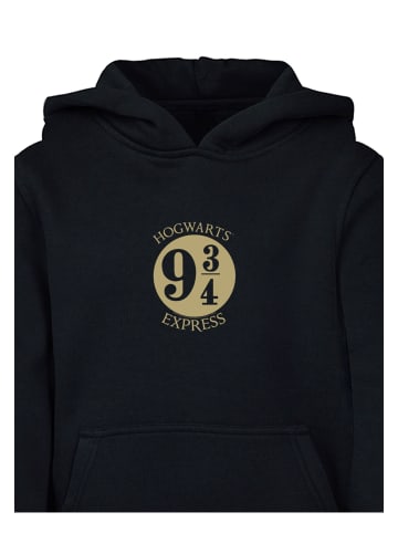 Absolute Cult Absolute Cult Kapuzenpullover in black