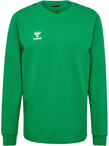 Hummel Hummel Sweatshirt Hmlauthentic Multisport Erwachsene in JELLY BEAN