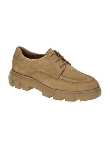 Paul Green Klassische Schnürschuhe in Braun