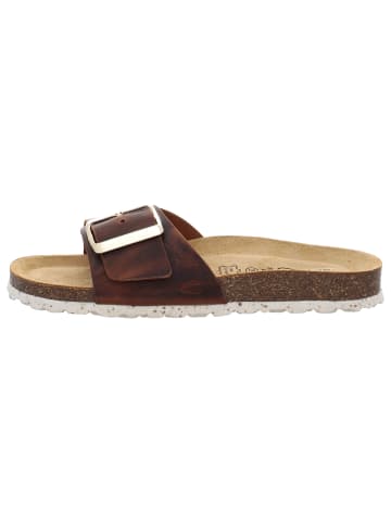 Camel Active Pantoletten in braun