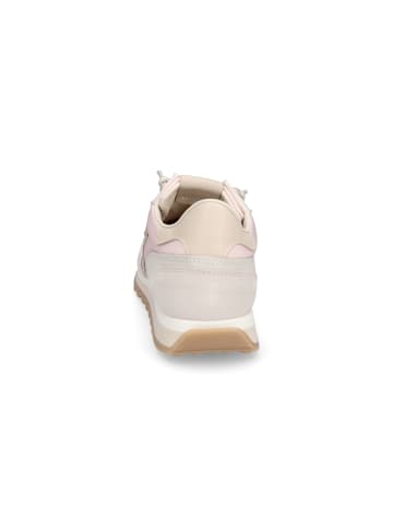 Cetti Sneaker in Rosa