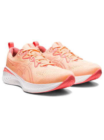 asics Laufschuhe GEL-CUMULUS 25 in SUMMER DUNE/LIGHT ORANGE