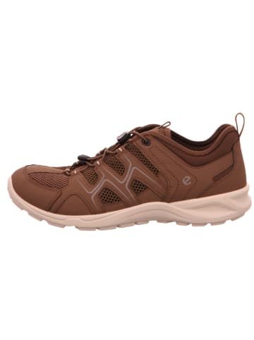 Ecco Klassischer Schnürschuh in braun