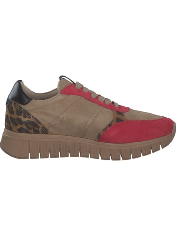 Tamaris Sneakers Low in TAUPE COMB