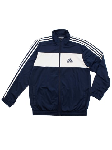 adidas Trainingsanzug Track Suit Entry Knit OH in Blau