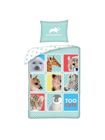 COFI 1453 Animal Planet Bettwäsche Set aus Baumwolle Bettdeckenbezug 140 × in Hellblau