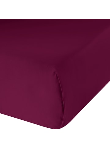 Erwin Müller Haustuch, Renforcé Bettlaken Würzburg in weinrot