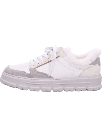 Paul Green Sneaker Low in beige