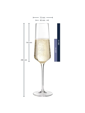 LEONARDO 6er Set Sektgläser geeicht Puccini Gastro-Edition 0,1 l transparent in transparent