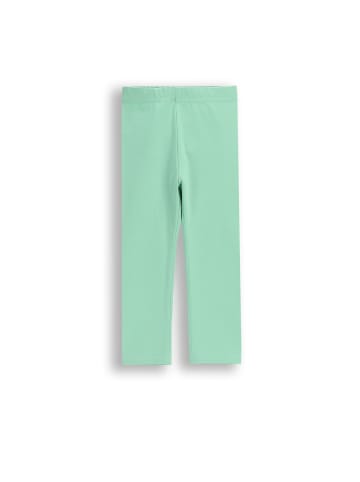 Coccodrillo Leggings mit langem Hosenbein in grün