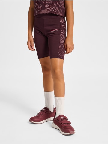 Hummel Cycling Kurze Hose Hmljr Warmup Mädchen in WINETASTING