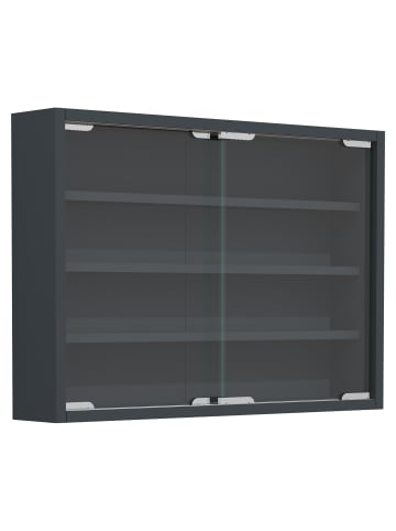 VCM  Hängevitrine Wandvitrine Sammel Deko Agisa M in Anthrazit