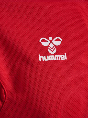 Hummel Hummel Sweatshirt Hmlauthentic Multisport Herren in TRUE RED