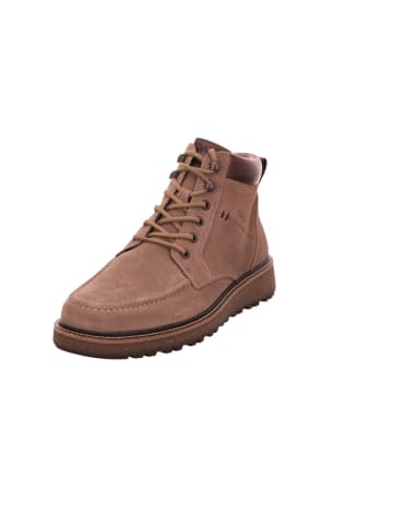 Gabor Stiefeletten/Boot in beige
