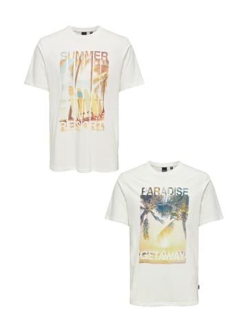 Only&Sons T-Shirt 2er-Set Rundhals Kurzarm in Braun-Grün
