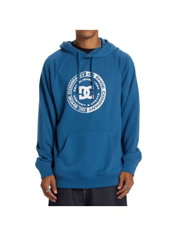 DC Shoes Corpo Raglan Otlr Sweatshirt in Marine