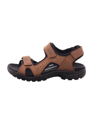 Ecco Komfort Sandalen in Braun