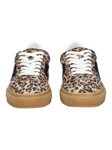 Pavement Sneaker in Leopard
