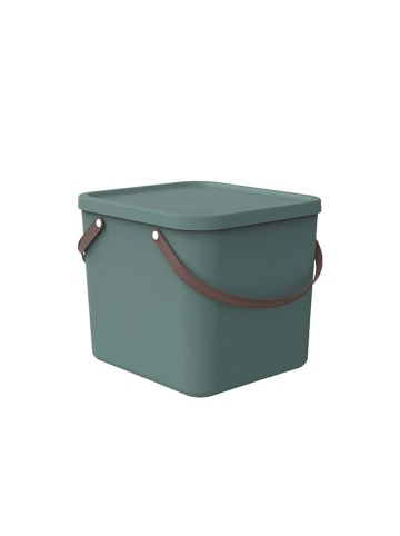 Rotho Albula Aufbewahrungsbox 40l mit Deckel, recyceltem Kunststoff in Mistletoe grün