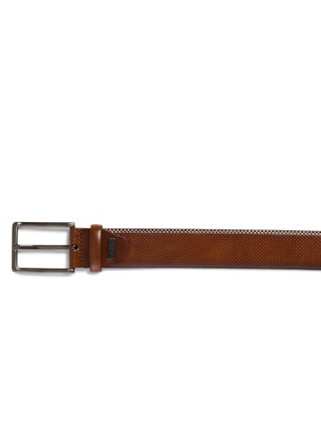 Monti Ledergürtel Cambridge in cognac - 0001