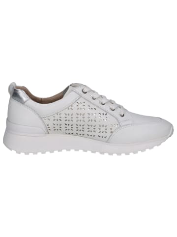 Caprice Sneaker in WHITE/SILVER