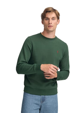 Polo Club Sweatshirt in Grüne Flasche