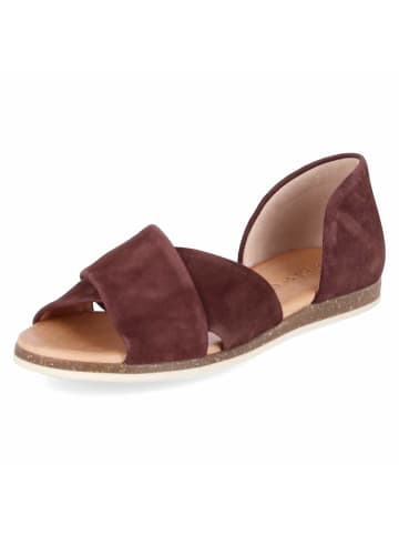 Apple of Eden Sandalette in bordeaux