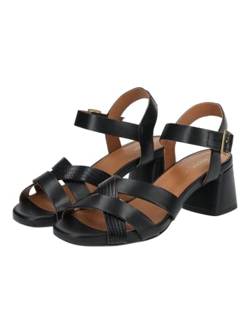 Geox Sandalen in Schwarz