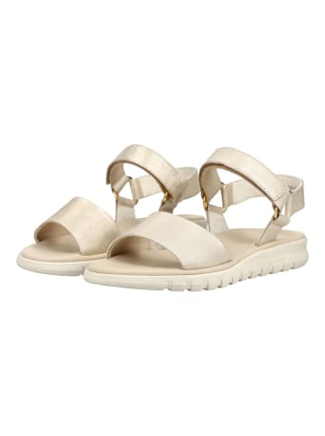 Paul Green Sandalen in Shell