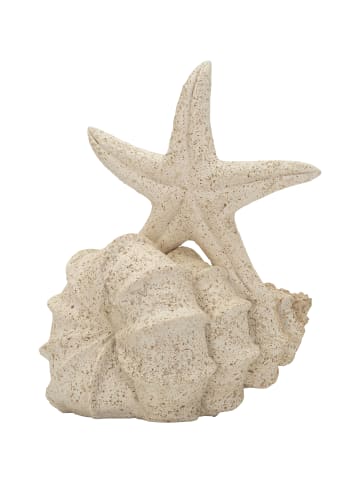 Mauro Ferretti Beigefarbene, seesternförmige Kunstharzskulptur, 18 x 13 x 21,2 cm