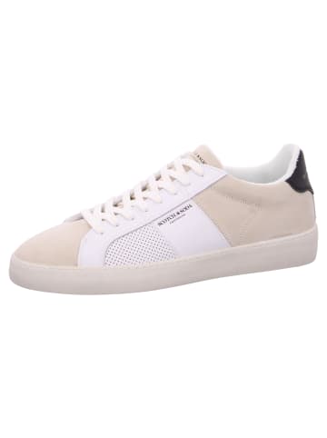 Scotch & Soda Sneaker Plakka in Beige