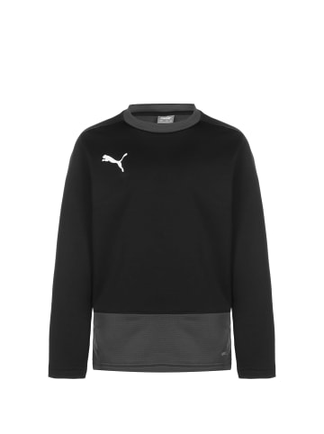 Puma Sweatshirt TeamGOAL 23 in schwarz / dunkelgrau