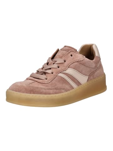 Gabor Sneaker in Braun