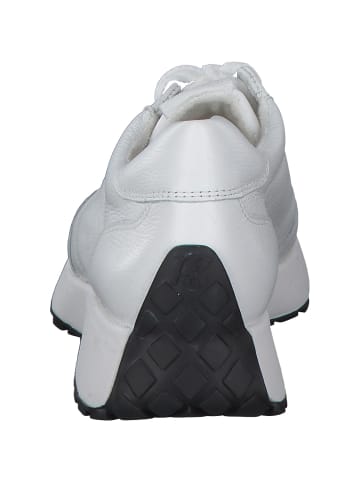 Paul Green Sneakers Low in white