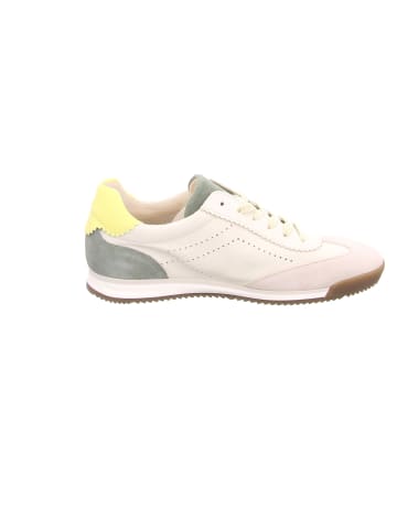 Gabor Sneaker für Damen in Bunt