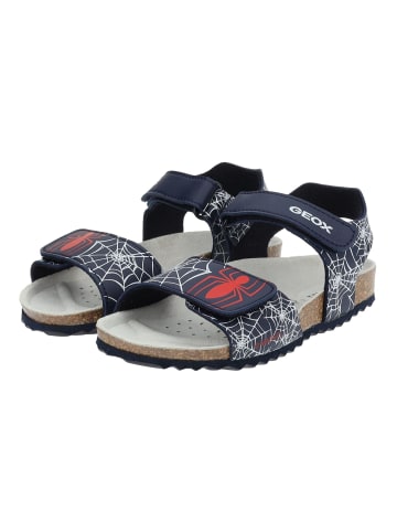 Geox Sandalen in Navy/Rot