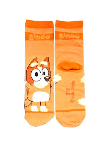 Bluey 4er - Pack Kindersocken Bluey Geschenkset mit Spardose  in Bunt