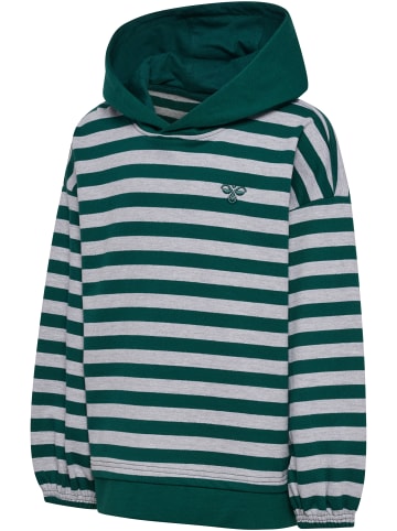 Hummel Kapuzenpullover Hmljr Conelly Lebensstil Kinder in FOREST BIOME