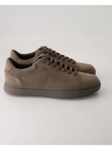 Geox Klassische Schnürschuhe in Grau