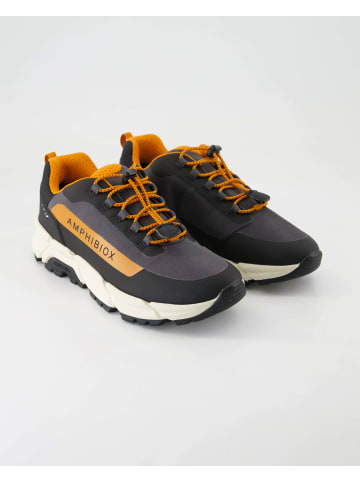 Geox Outdoor Schuhe in Grau