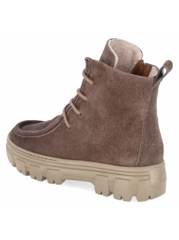 Paul Green Schnürstiefel in brown