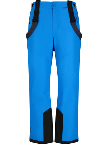 Whistler Skihose Drizzle in 2008 French Blue