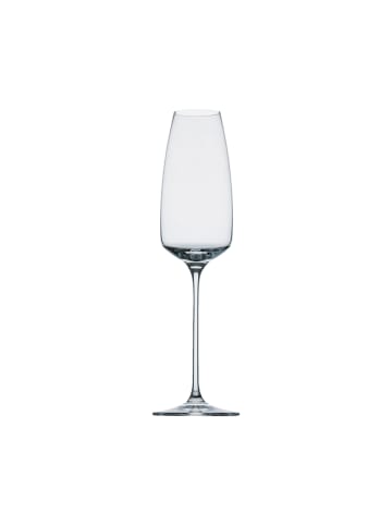 Rosenthal 6er Set Champagnergläser TAC o2 300 ml in transparent